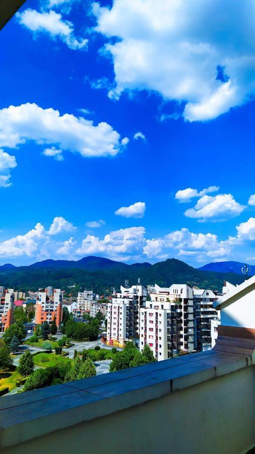 Hotel Mara Baia Mare Exterior foto